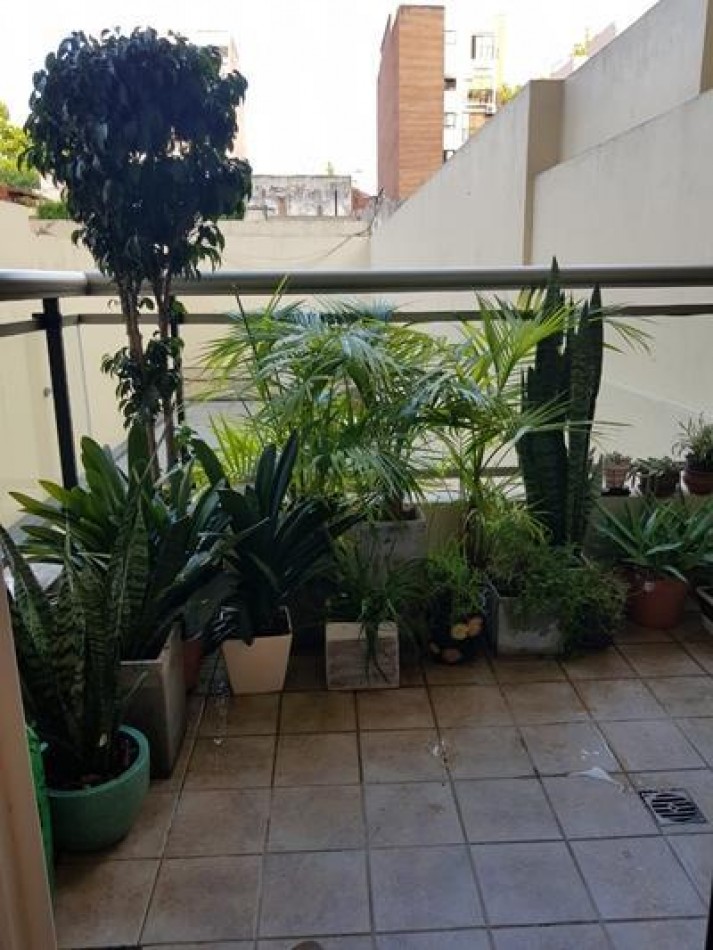 Caballito Venta Centenera y Goyena 3 Ambientes Nuevo Patio Luminoso Coch Fija